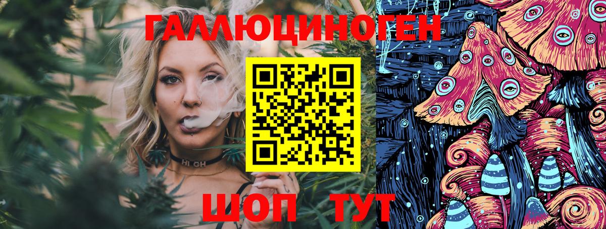 Псилоцибиновые грибы Psilocybine cubensis  Вход с VPN  Бутурлиновка 