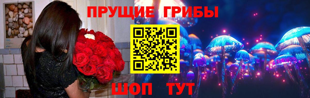 Галлюциногенные грибы Psilocybe Бутурлиновка